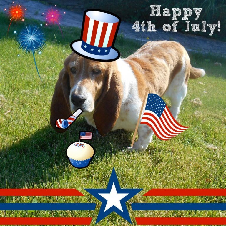 11406448 965430773521912 2496381380113729907 o